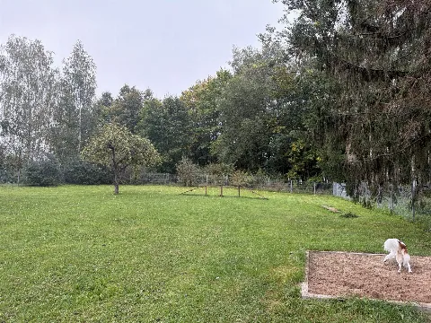 Šunų vedžiojimo aikštelė, Elektrėnai