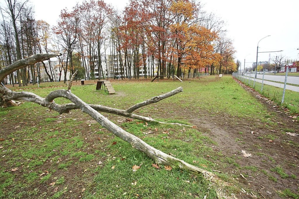 Dainavos parko šunų vedžiojimo aikštelė — nuotrauka 1