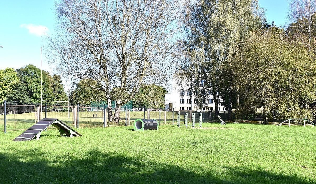 Šunų alėja — nuotrauka 1