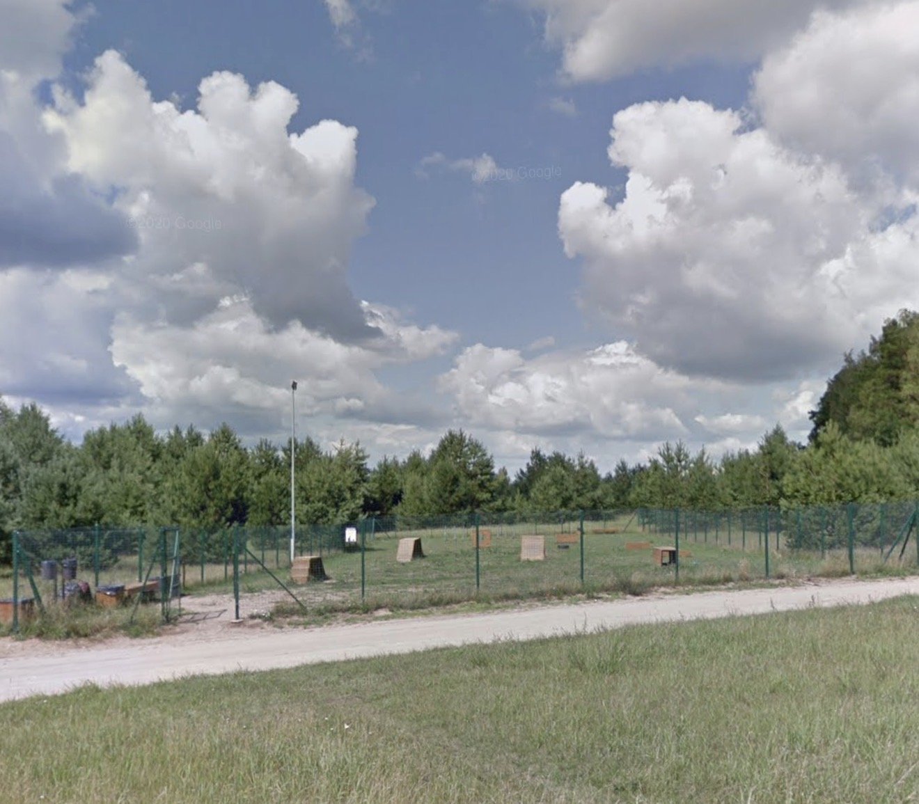 Aikstele prie misko, aptverta — nuotrauka 1