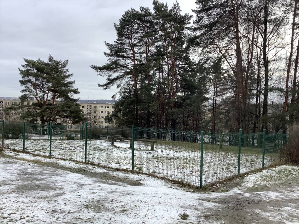 Architektų g. šunų dresūros aikštelė — nuotrauka 1