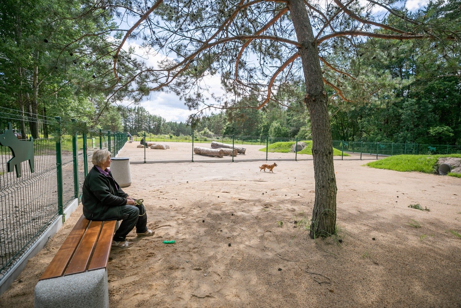 Medeinos g. šunų vedžiojimo ir dresūros aikštelė — nuotrauka 1
